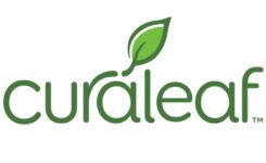 Curaleaf cannabis retailer at MJ Unpacked