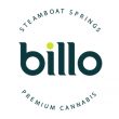Billo cannabis retailer at MJ Unpacked
