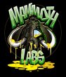 Mammouth Labs cannabis brand at MJ Unpacked event