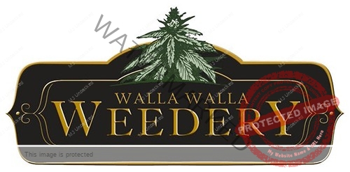 Walla Walla Weedery cannabis retailer at MJ Unpacked
