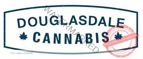 Douglasdale Cannabis Retailer at MJ Unpacked event
