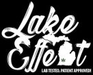 Lake Effect cannabis retailer at MJ Unpacked conference