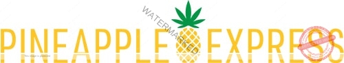 Pineapple Express cannabis retailer at MJ Unpacked