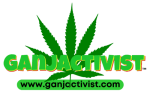 Ganjactivist.com press at MJ Unpacked cannabis event