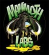 Mammoth Labs at MJ Unpacked