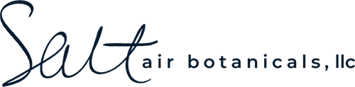 Salt Air at MJ Unpacked cannabis event