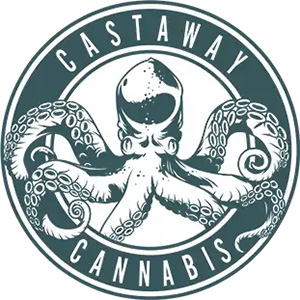 cannabis retailer at MJ Unpacked event